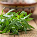 Tarragon
